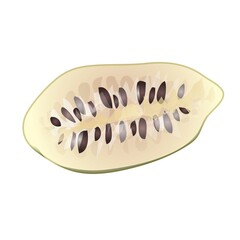 Half soursop icon cartoon vector. Graviola annona