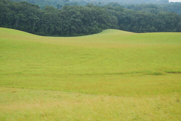 photo de paysage du Gabon un petit pays d’Afrique centrale