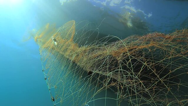 4K.Caught fish in the net hanging from the boat under the sea.Underwater fishing of deep blue ocean.Fish caught in spiral line fishing nets.Tulle stretching into infinity.Trap snare ambush decoy lure 