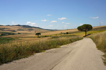 Landscape along the road from Termoli to Serracapriola, Southern Italy