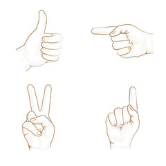 Hand drawn hand, engraving style