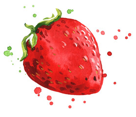 Fresh ripe red strawberry watercolor illustration