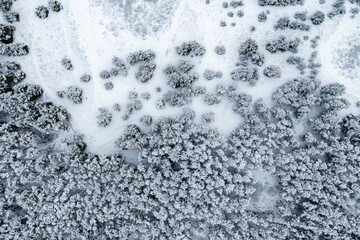 Obraz premium pine forest covered with snow aerial view
