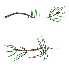 Frame with branch of pine isolated on a white background. Watercolor hand drawing illustration. Twig banner.