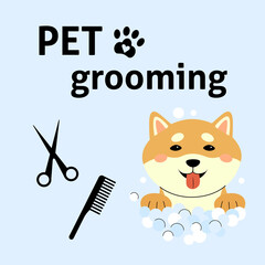 Square banner with puppy shiba inu washing pets grooming. Vector illustration blue background. Cheerful shiba inu puppy bubbles foam wash