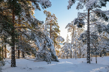 Lappohjanranta recreation area in winter, snowy forest, Hanko, Finland