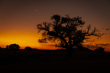 Fototapeta na wymiar A beautiful sunset, Sossusvlei, Namibia.