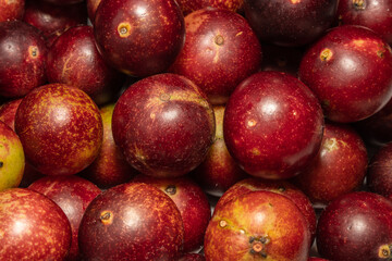 Camu camu fruits, a native plant of the Amazon, it is common to find these colorful fruits in the markets, as it is used for the preparation of different inputs, such as soft drinks, ice cream, sweets
