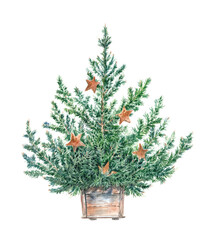 Watercolor illustration of a Christmas tree on a white background.