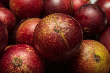 Camu camu fruits, a native plant of the Amazon, it is common to find these colorful fruits in the markets, as it is used for the preparation of different inputs, such as soft drinks, ice cream, sweets
