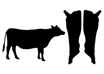 Cow and bark carcass in a set. Vector image.