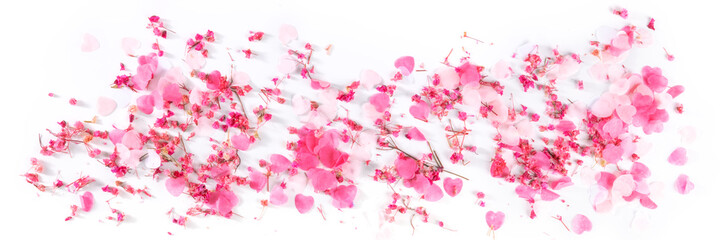 Valentine day panorama with pink hearts and flowers confetti, a flat lay panoramic banner on a white background