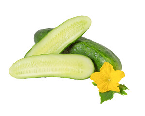 cucumber isolated on white background