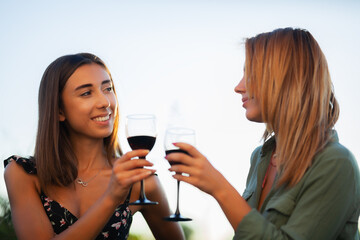 Beautiful girls tasting wine in a field near vineyard field. Celebrating successful harvest season. Couple having a romantic date. Rural tourism concept