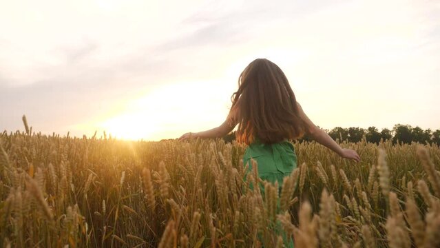 free girl run across the wheat field in the park. agriculture children kid dream concept. girl farmer hands to sides runs across the wheat field. happy free girl run in park agricultural fun land