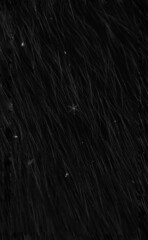 snowflake on black wool