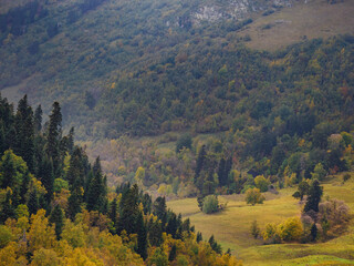 Amazing highlands autumn day. trees on edge of hill in fall colors. Travel to the North Caucasus, Arkhyz, Russia, road to Dukkinsky lakes.