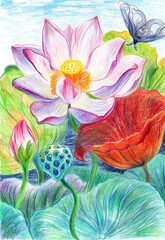 Picturesque lotus flowers