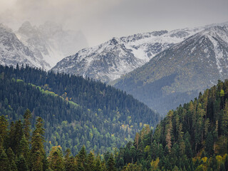 Fototapeta premium Amazing highlands autumn day. trees on edge of hill in fall colors. Travel to the North Caucasus, Arkhyz, Russia, road to Dukkinsky lakes.