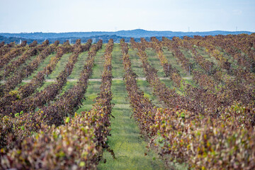 Obraz premium PORTUGAL ALENTEJO EVORAMONTE