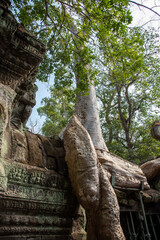 Cambodian Ruins