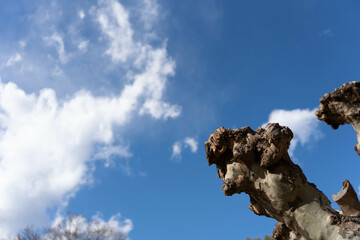 大空を見上げて