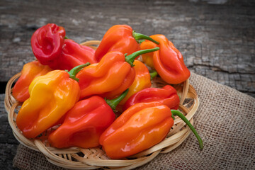 red hot habanero pepper on wooden background