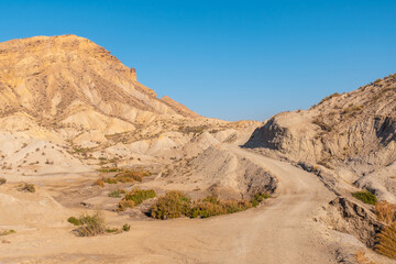 Beautiful trail in the canyon on Rambla de Lanujar in the Tabernas desert, Almería province, Andalusia. Trekking in the desert, lifestyle