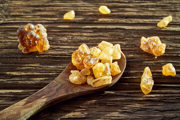 Frankincense resin on a spoon
