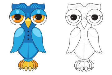 Illustration for children with a blue owl and one to be colored on a white background