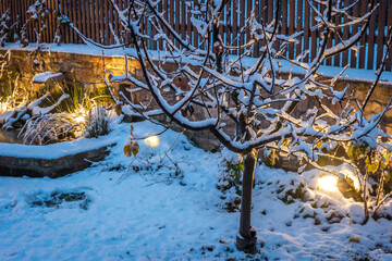 Evening lighted garden covered with snow