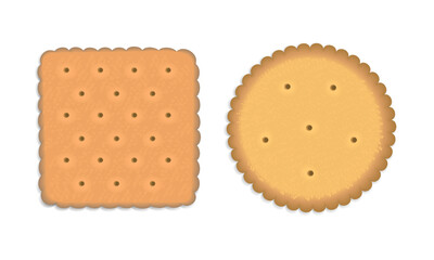 Realistic3d Round and Square Cookies isolated on a white background