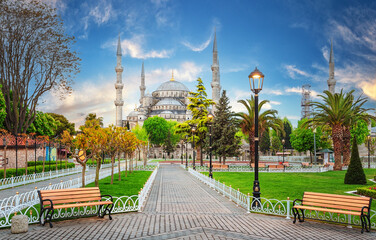 Sultanahmet Mosque or Blue Mosque in Istanbul by day - 482855686