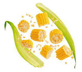 Flying cracked corn cob with leaves isolated on white background. Design element for product label,...