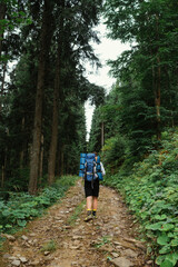 Tourist with a large backpack climbs the mountains on a forest path. Vertical.
