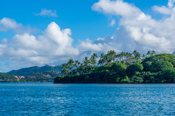 hawaii sandbar palm trees