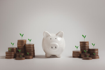 Pig piggy bank and rows of money coins are placed around. Concept saving money, growth, economic,...