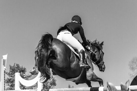Horse Woman Rider Jump Motion Poles Rear Action Sepia Tone Photo.