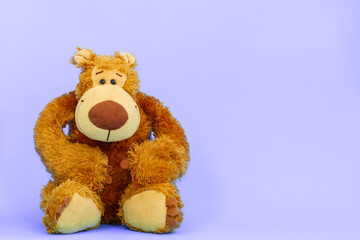 Brown teddy bear on a violet background.