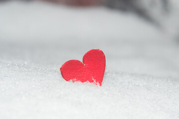 Fototapeta premium heart