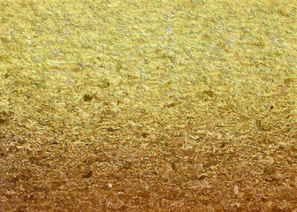 gradient color background , light and shadow style polished metallic	
