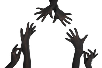 Fototapeta premium Woman puts on long black gloves isolated on a white background .