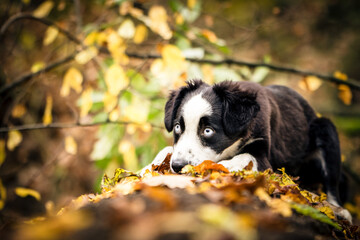 blue eyes © Sarah Pirke