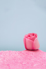 Minimal Valentine concept with pastel pink rose in sand. Trendy aesthetic.