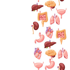 Seamless pattern with internal organs. Human body anatomy. Health care and medical background.