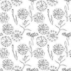 A set of seamless patterns with cornflowers 1000x1000, vector graphics.