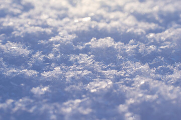 Macro background of fresh snowflake texture