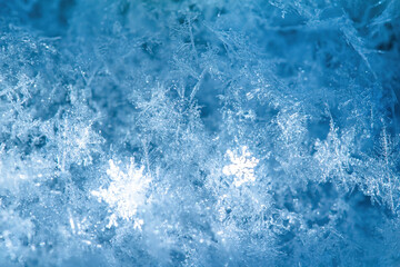 Macro background of fresh snowflake texture