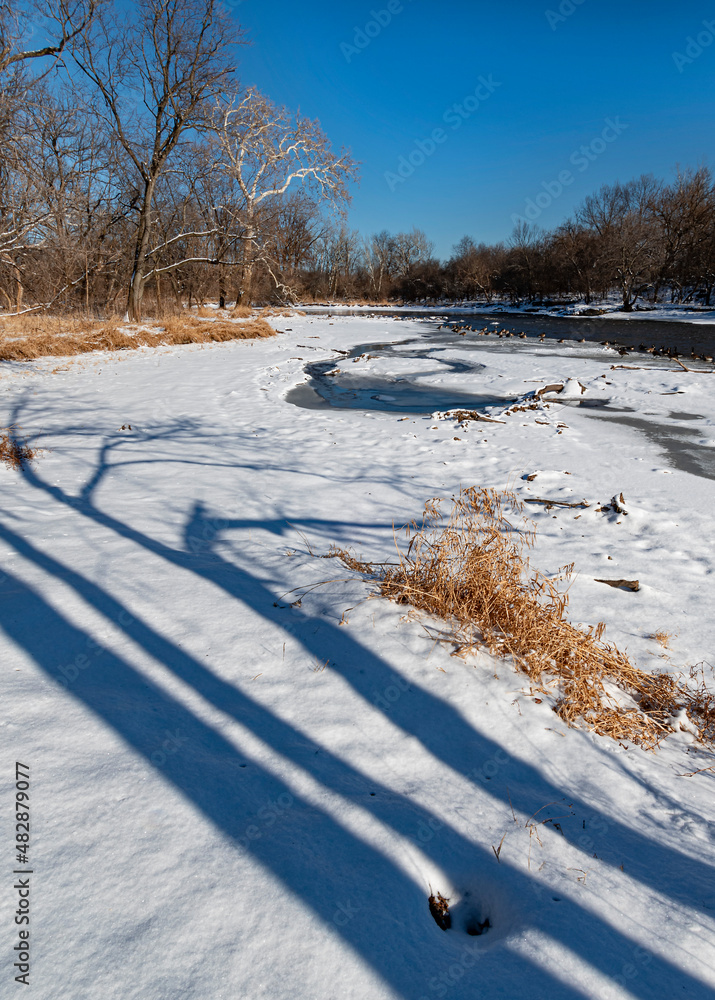 Wall mural 662-97 Tree Shadows on the DuPage River Shore