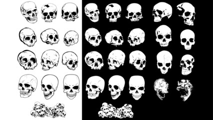 set teschi horror realistici grafici crani anatomia - obrazy, fototapety, plakaty
